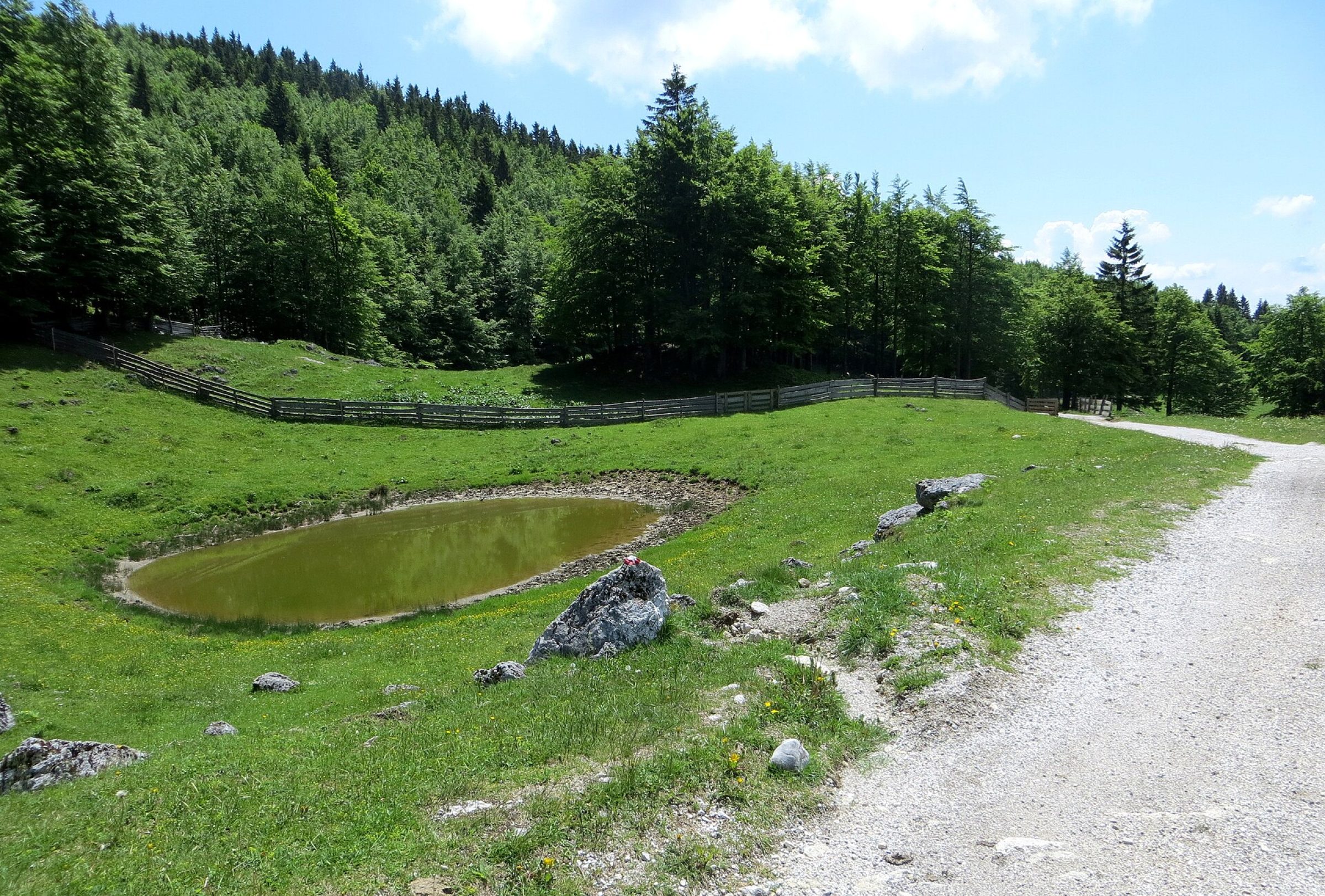 Menina planina - rob občine – Občina Nazarje Ogled povečano sliko Menina planina - rob občine – Občina Nazarje